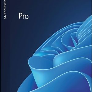 Windows 11 Pro